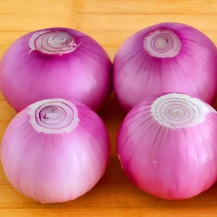 河南水果洋葱圆葱  清甜微辣    鲜嫩多汁