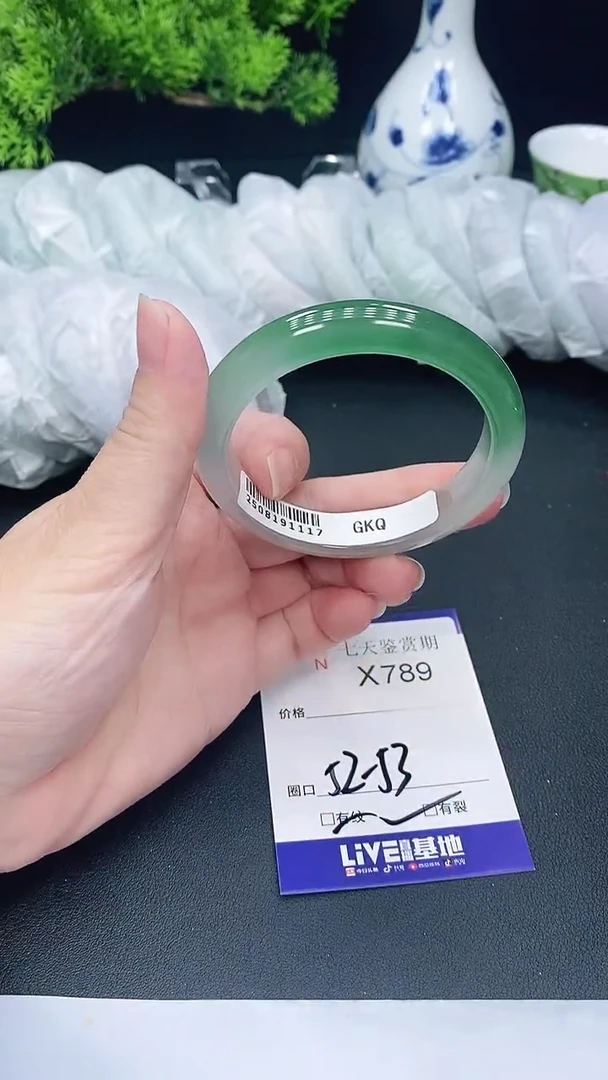 未镶嵌手镯翡翠789