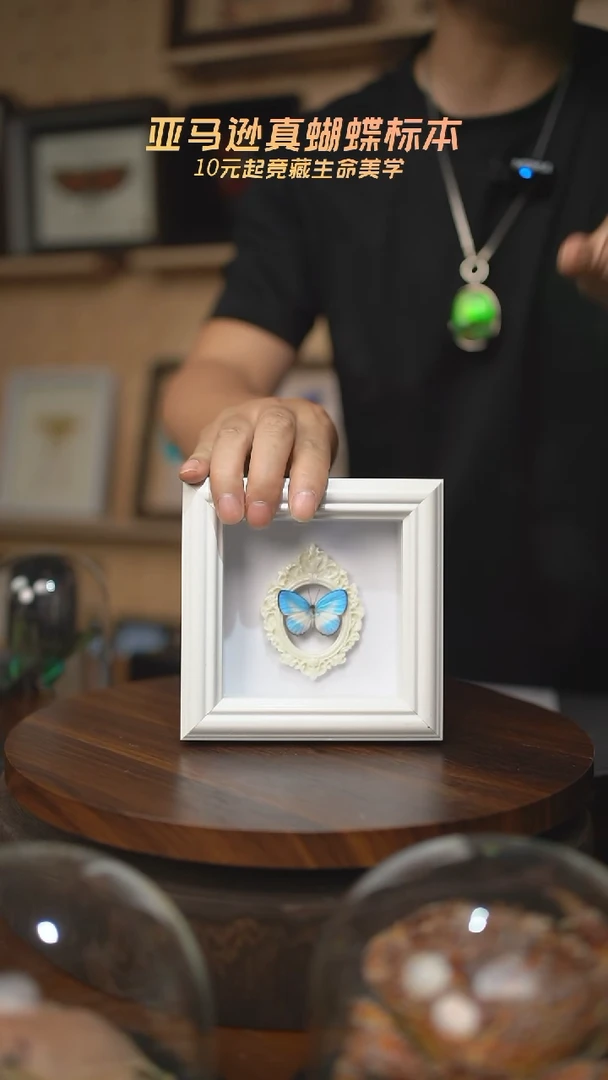 优雅灰蝶4寸方框