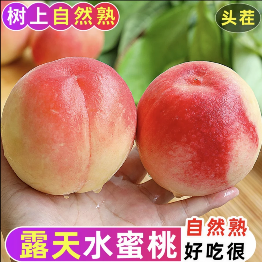 山西运城水蜜桃新鲜应季节水果脆软桃子整箱包邮毛桃批发S