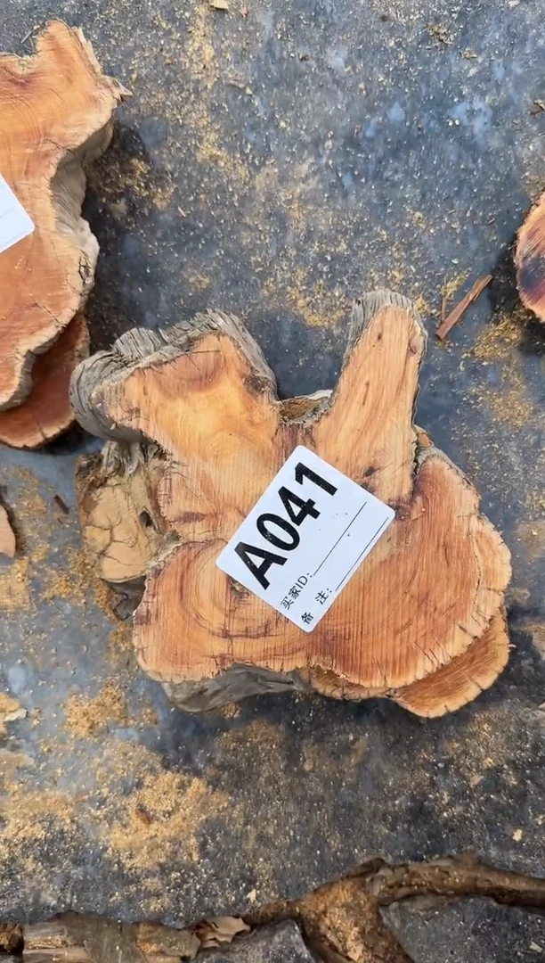 【闪购商品】柏木（崖柏）太行崖柏切片一片