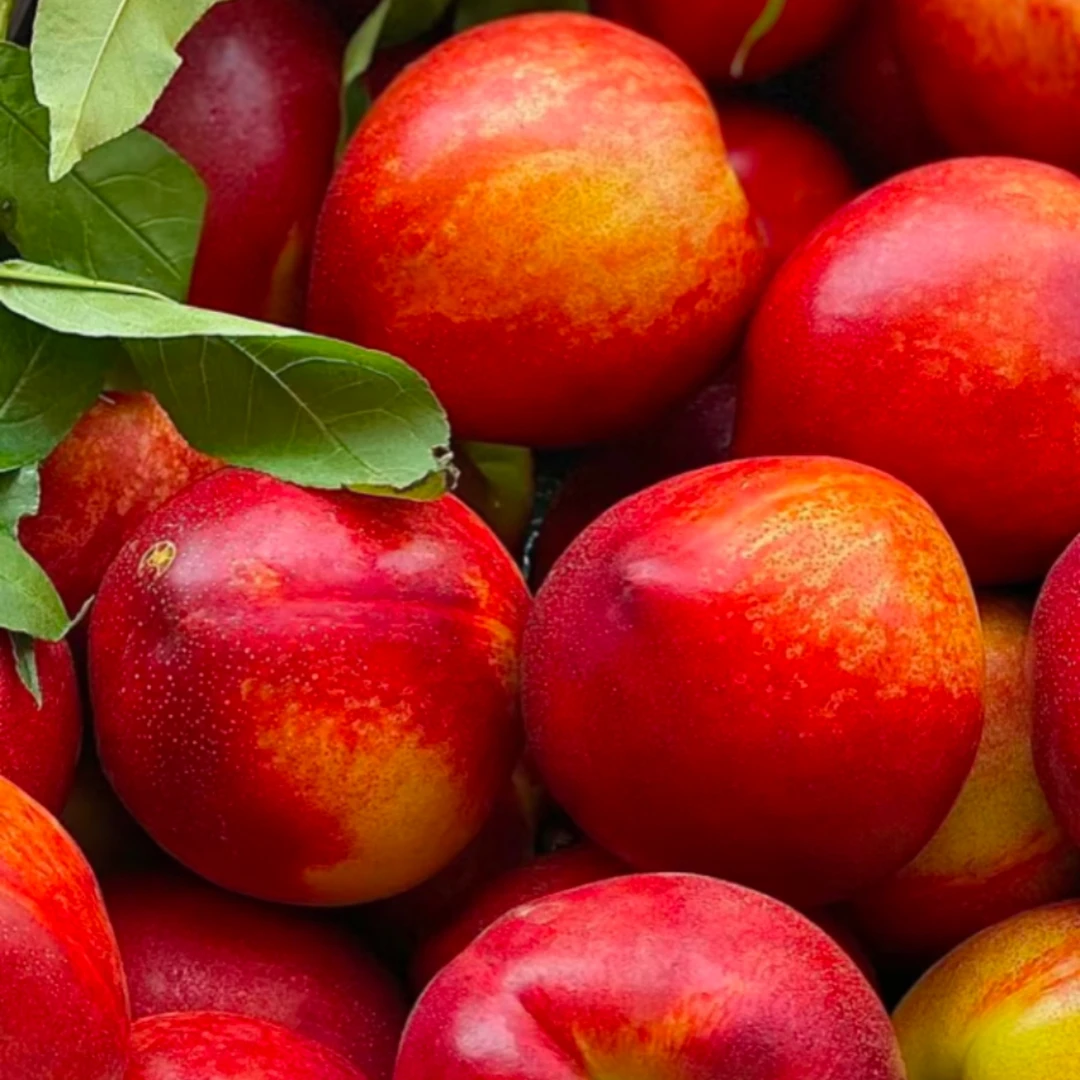 【450g-500g油桃】油桃油桃