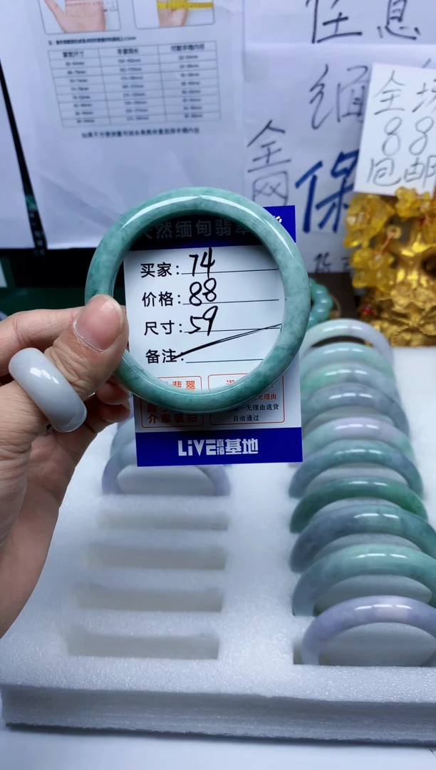 未镶嵌手镯翡翠74