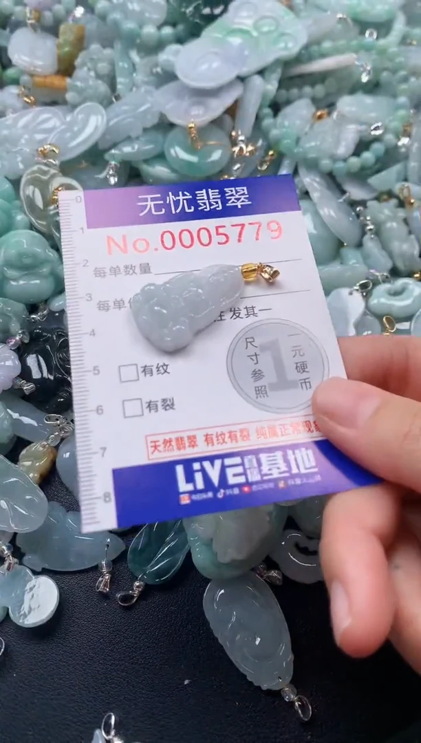 颈饰未镶嵌翡翠5779