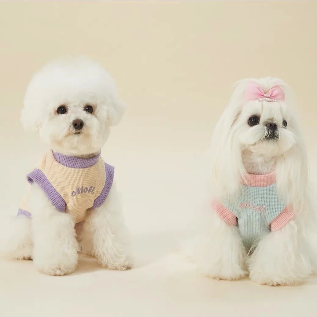 夏天宠物小狗狗衣服薄款雪纳瑞马尔济斯博美泰迪比熊小型犬防掉毛