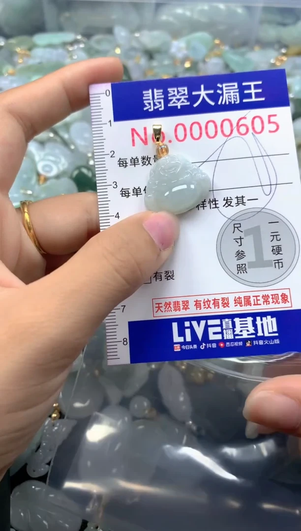 颈饰未镶嵌翡翠605