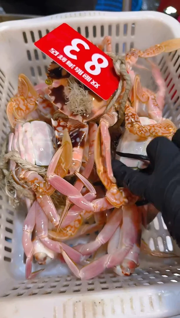 中国大陆海*盗红花11111111111