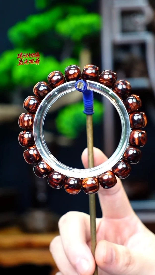 木本降真香红降花梨公香胆黑金芝麻点1011手串19g