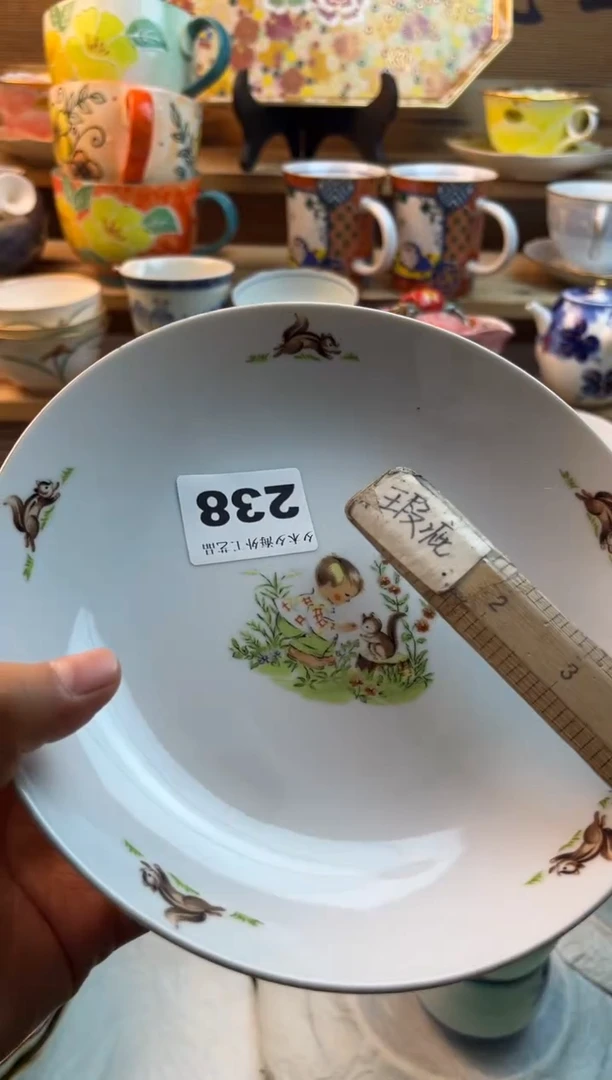 【闪购商品】瓷片瓷器          238