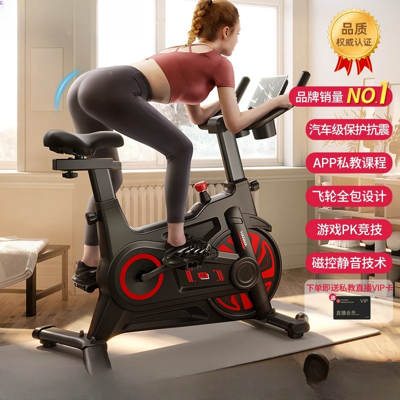 德国健身车骑行家用室内运动瘦肚子健身自行车锻炼健身器材健身房