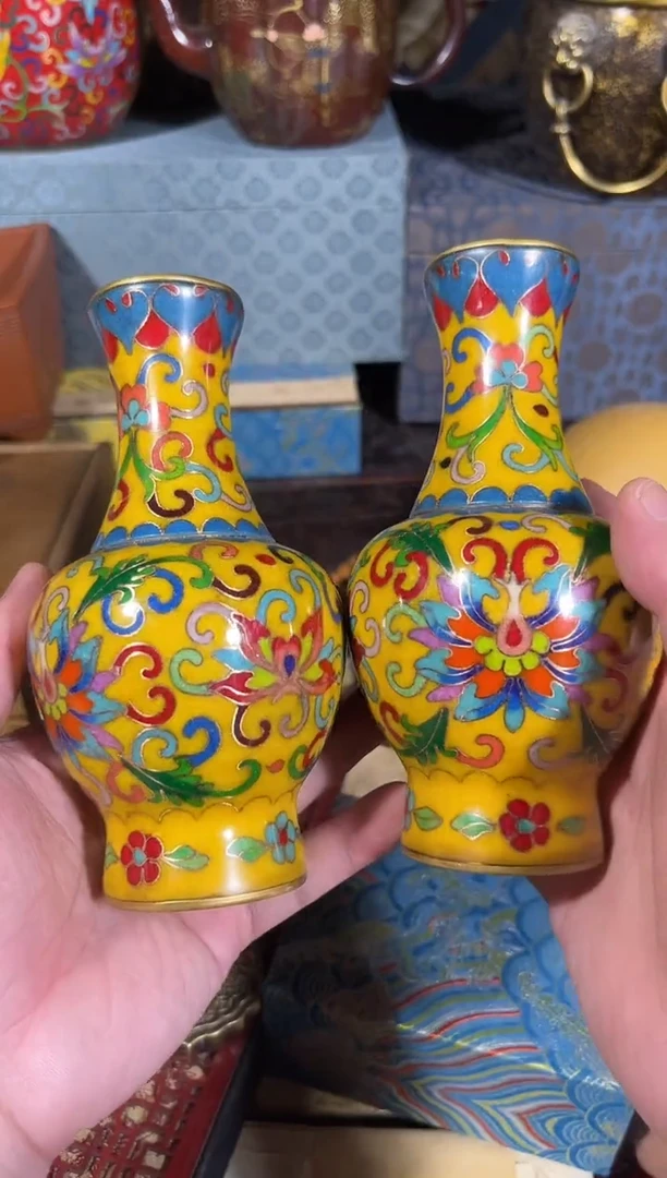 黄杨木11111111111111111111