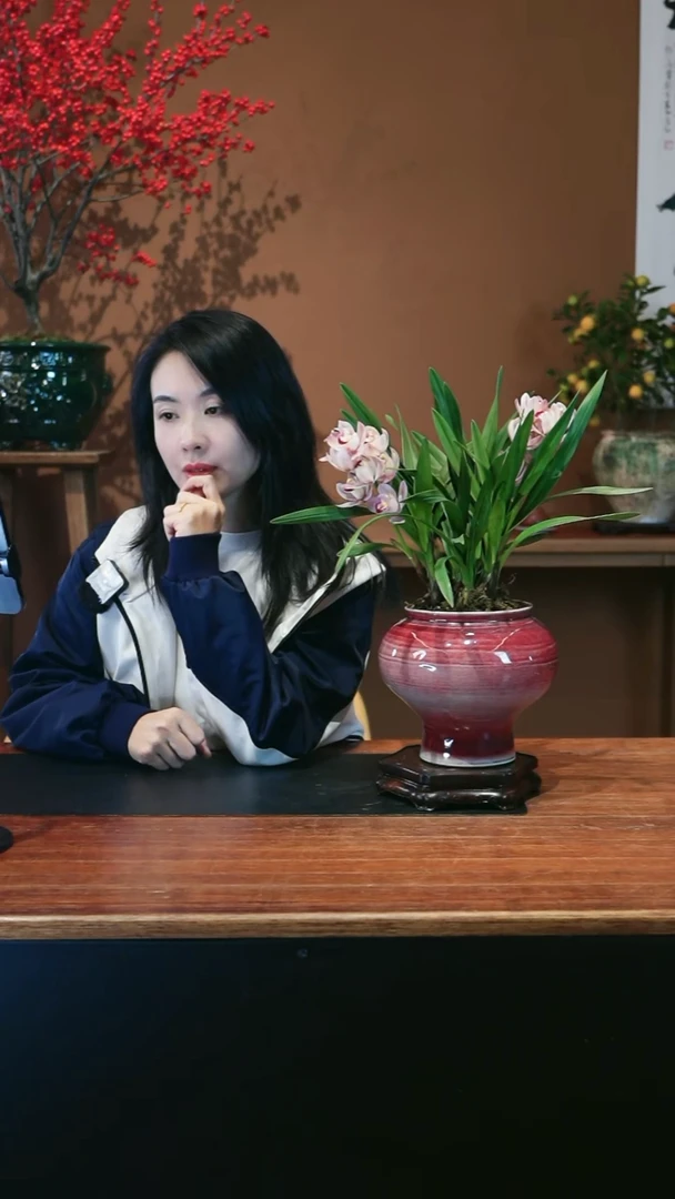 全部花朵小樱花景盆景盆景