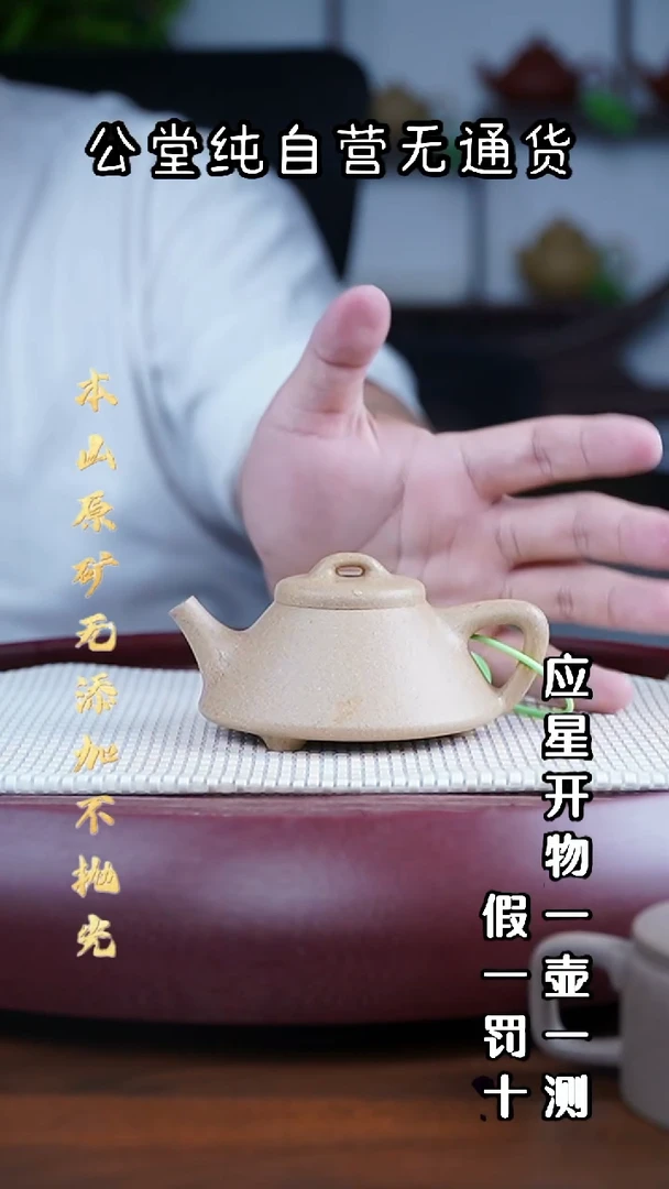 茶壶紫砂宝山墨绿泥 文瓢 140cc