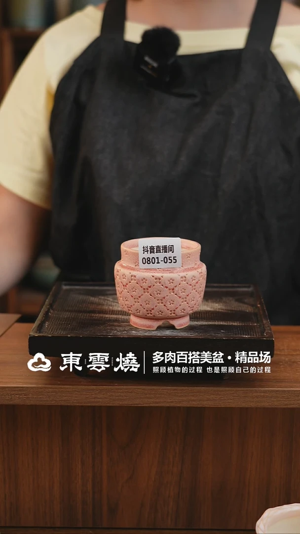 0801-055A宫灯内口5.5