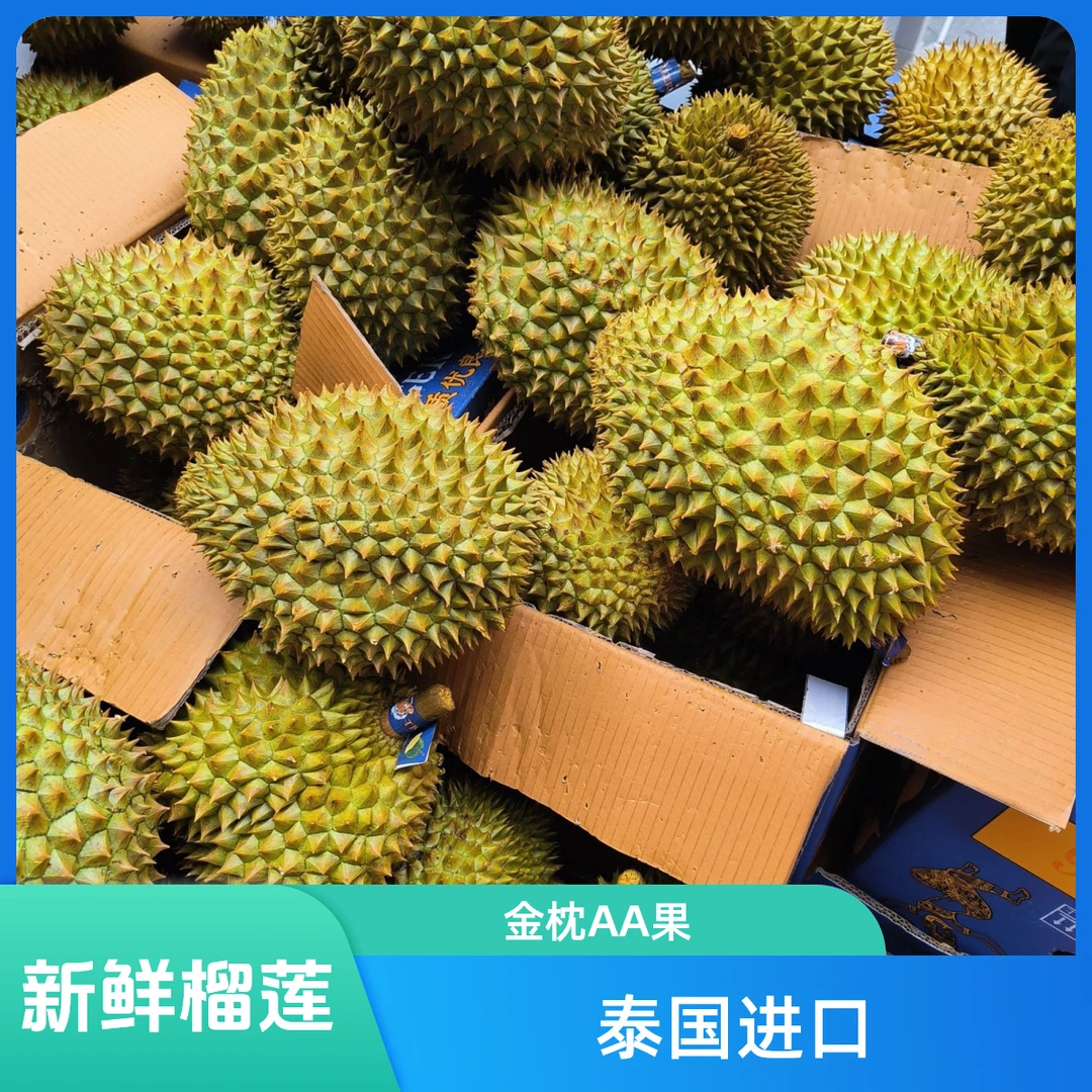 【9.3最新回货】树熟金枕榴莲果新鲜整果核小5斤果金枕越南社会主义共和国