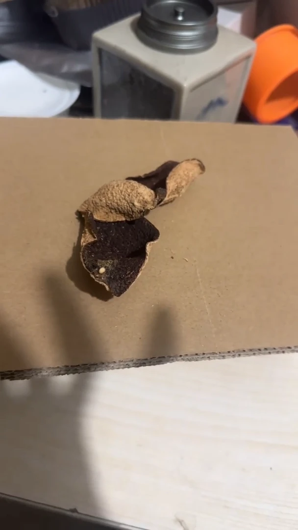 彩选单品2017陈皮一斤装