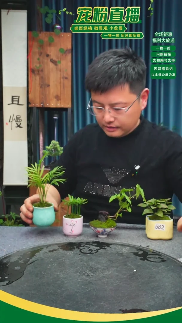 无花朵三****跑苔藓微景观582号