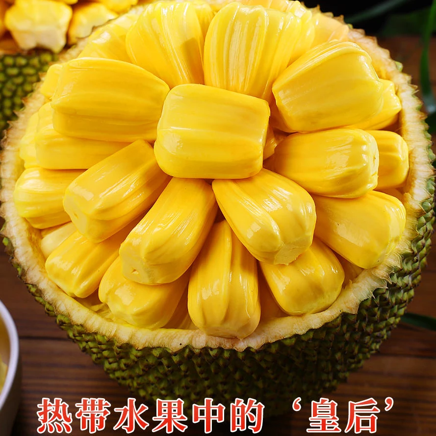 笑笑专属/8-17斤大果广东高州无胶常有珍珠菠萝蜜干苞香甜蜂蜜香