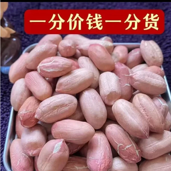 河南2025新花生米粉皮白沙花生米去壳新鲜花生米