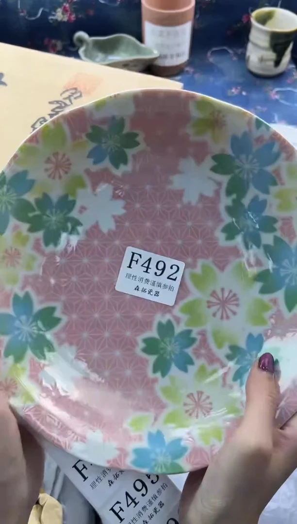 瓷片          F492