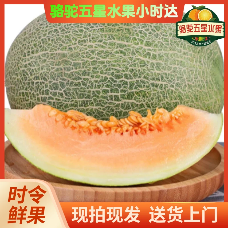 海南，小蜜瓜，甜瓜脆甜，一个重3-3.8斤左右