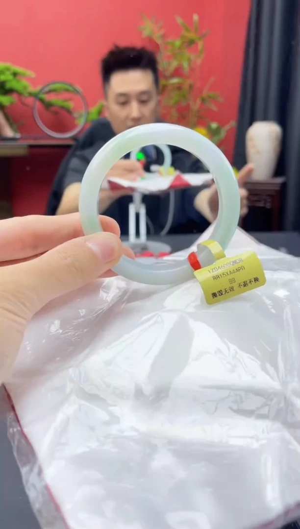 未镶嵌手镯翡翠6