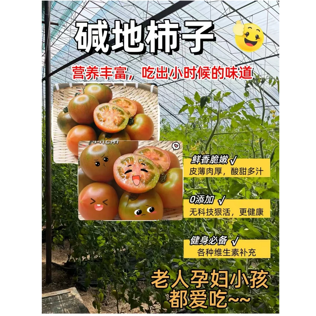 【5斤】碱地草莓番茄铁皮西红柿应季小时候的味道