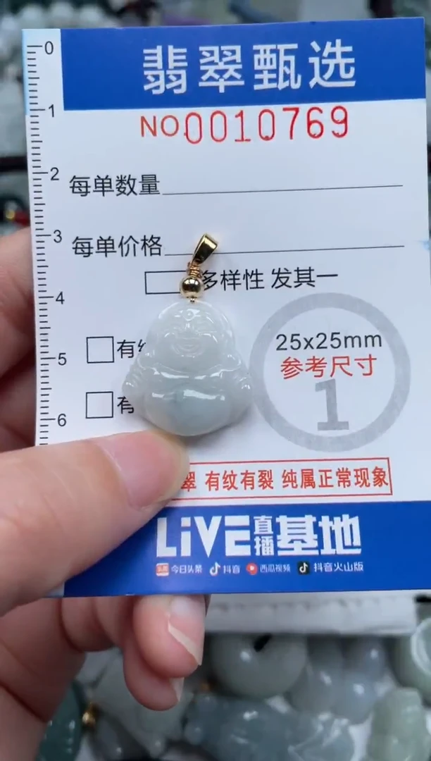 颈饰未镶嵌翡翠10769