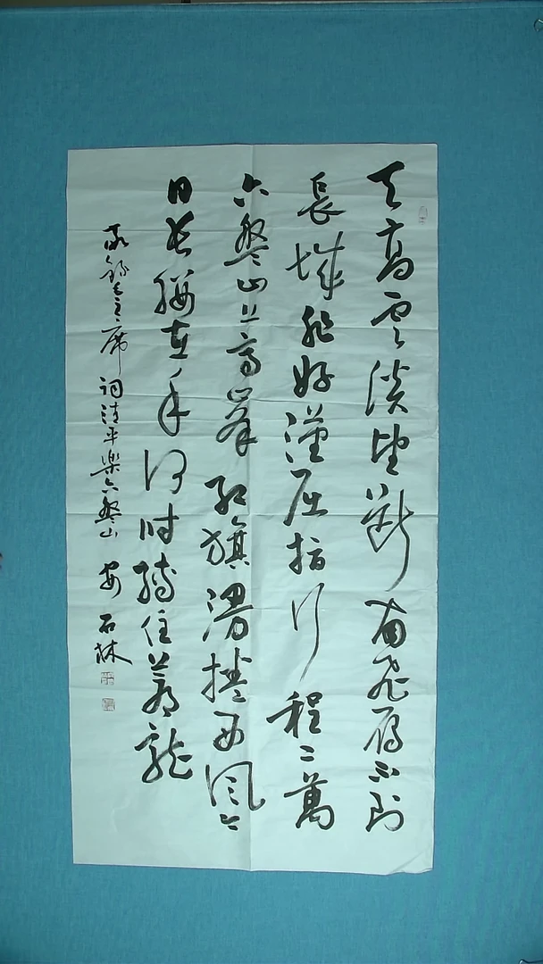 【闪购商品】书法212 甘肃安世林中书协138*69