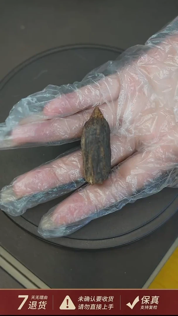 沉香吊坠沉水越南芽庄沉香白奇楠5.4克