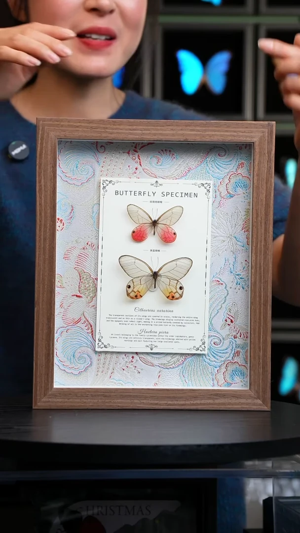 玫瑰绡眼蝶+黄晶眼蝶布艺款