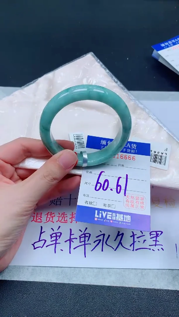 未镶嵌手镯翡翠6666