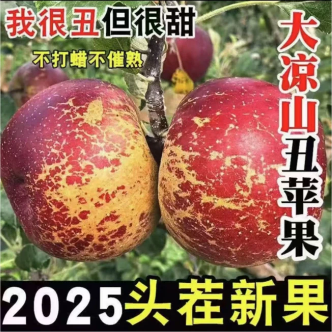 【顺丰次日达】正宗大凉山盐源丑苹果现采现摘整箱发货新鲜水果顺丰包邮RD四川省