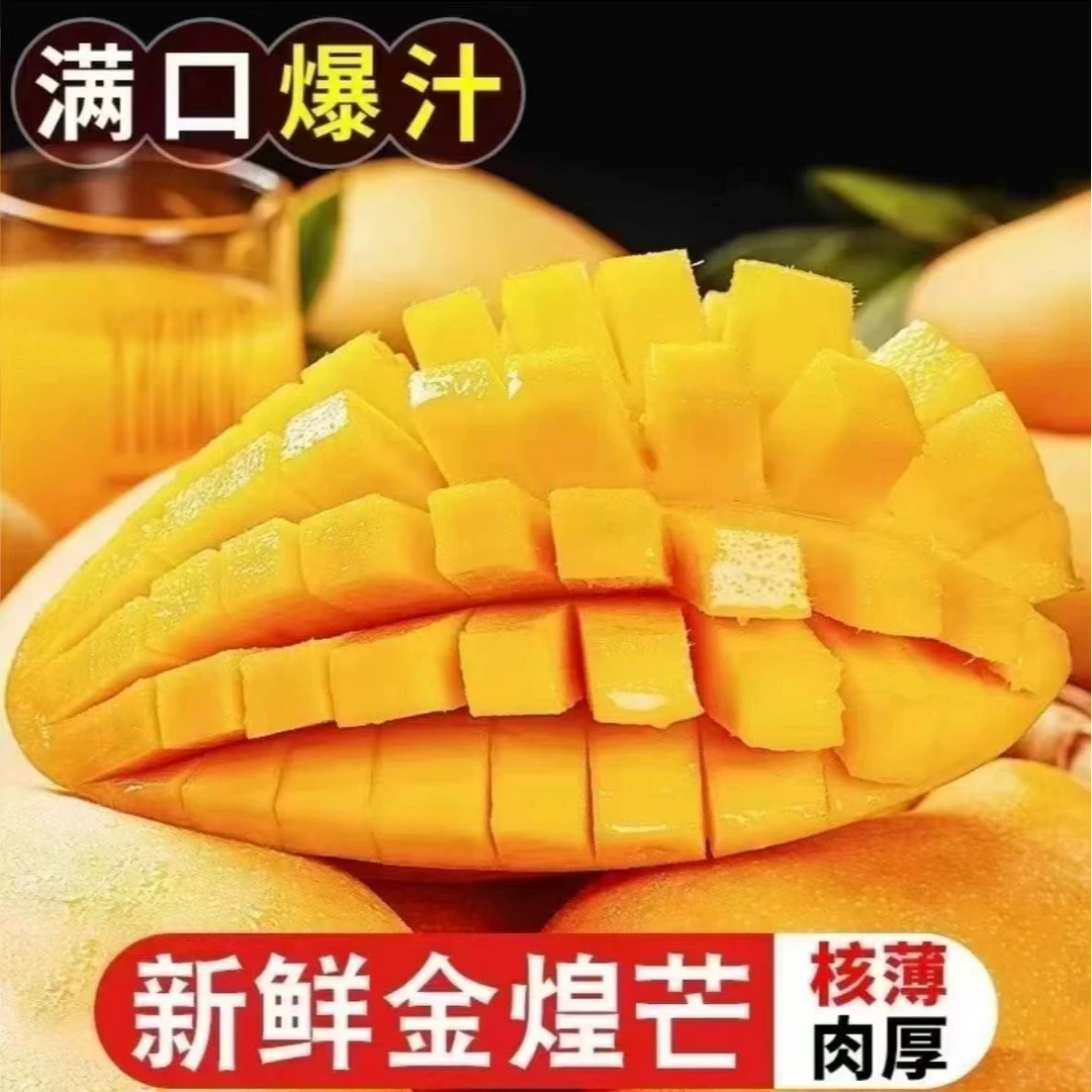 【金煌芒】【催熟后食用】新鲜现摘芒果果园直发产地直发芒果整箱发货