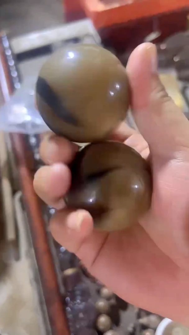 紫砂紫砂紫砂紫砂