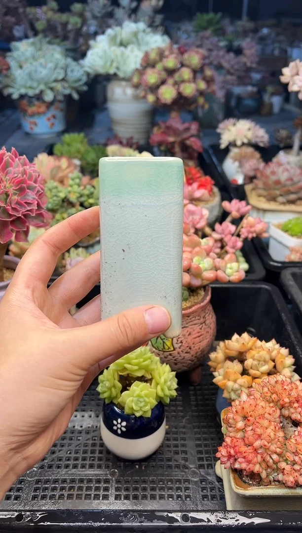 一**光609             花盆