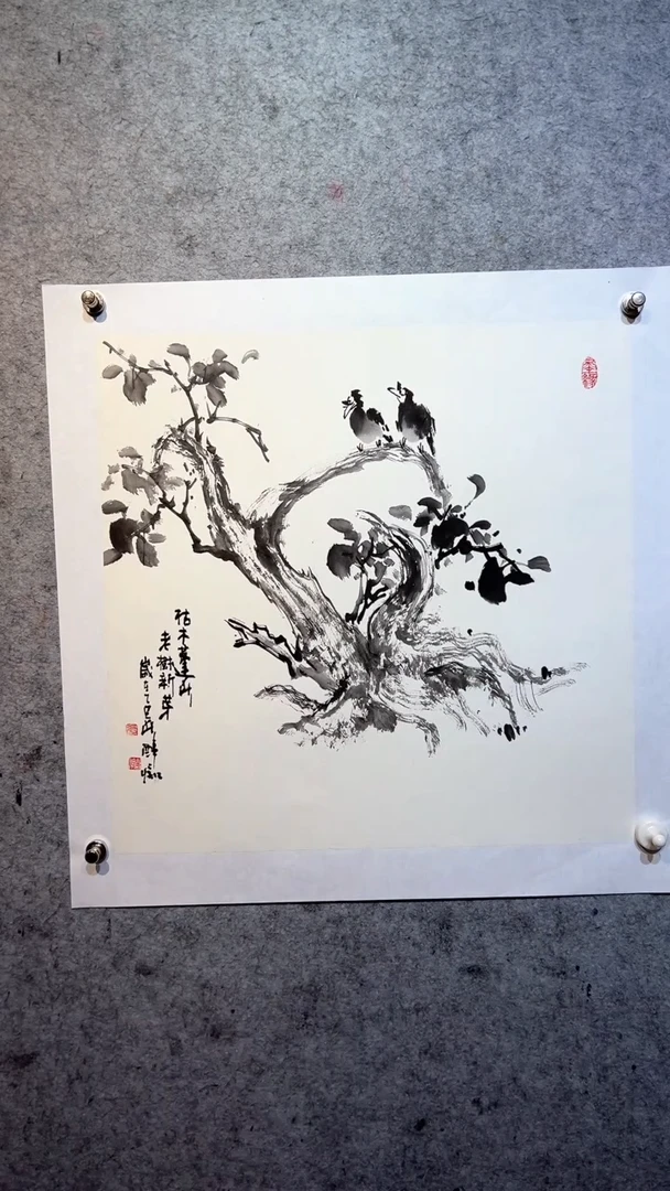 国画澹*张自学水墨国画24