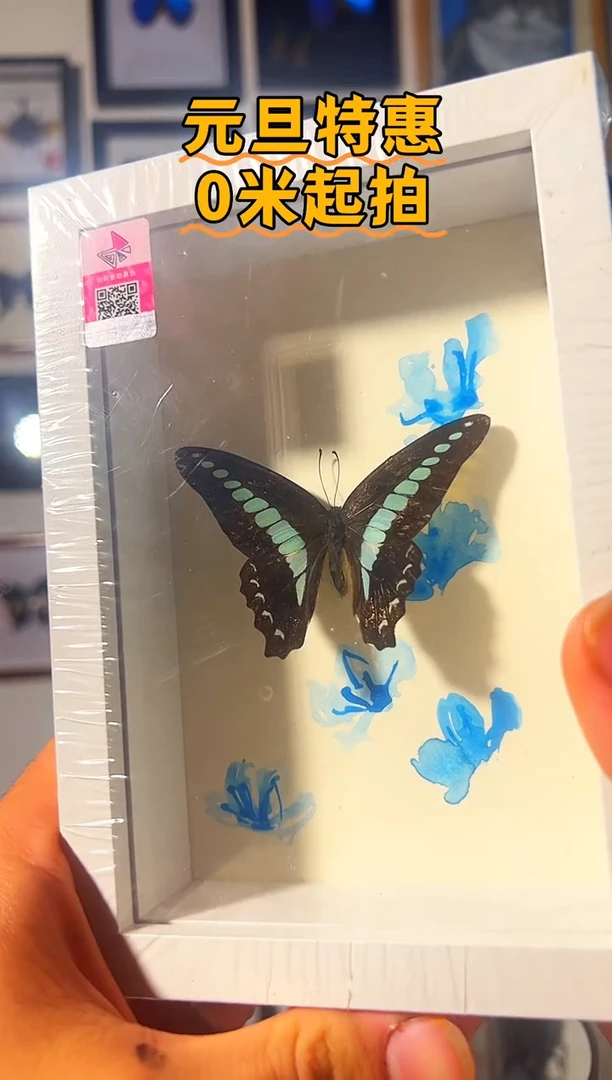 有机玻璃89764548