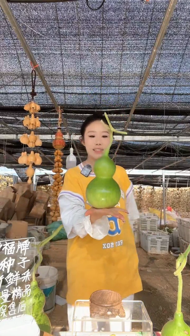 071天然葫芦摆件 一物一拍龙头不保售后
