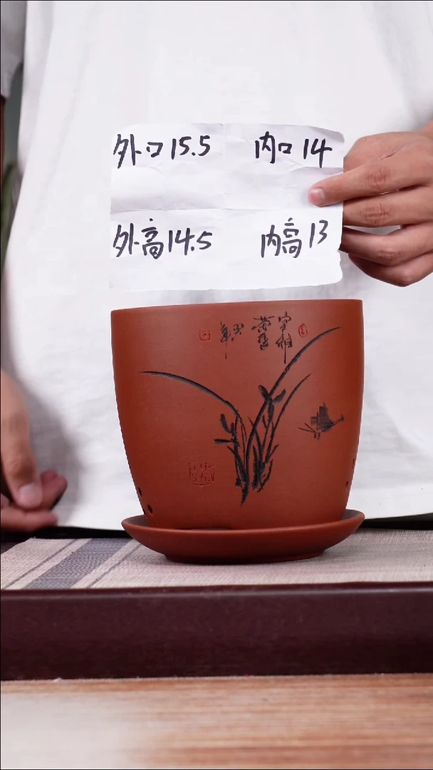 紫砂花盆清水泥君子兰2号一只带托