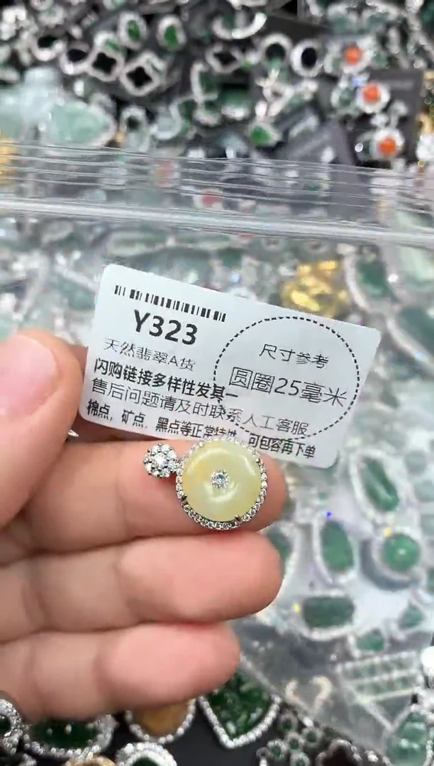 翡翠未镶嵌颈饰Y323吊坠