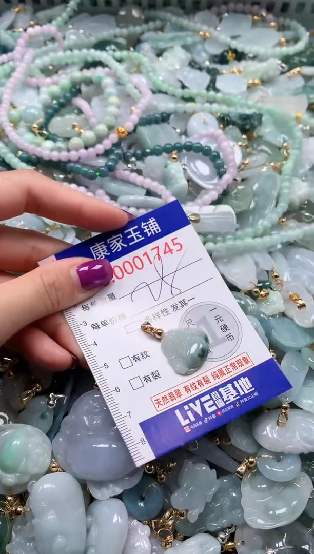 颈饰未镶嵌翡翠1745