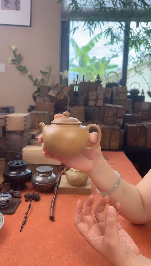聪**年一个紫砂哈哈哈哈