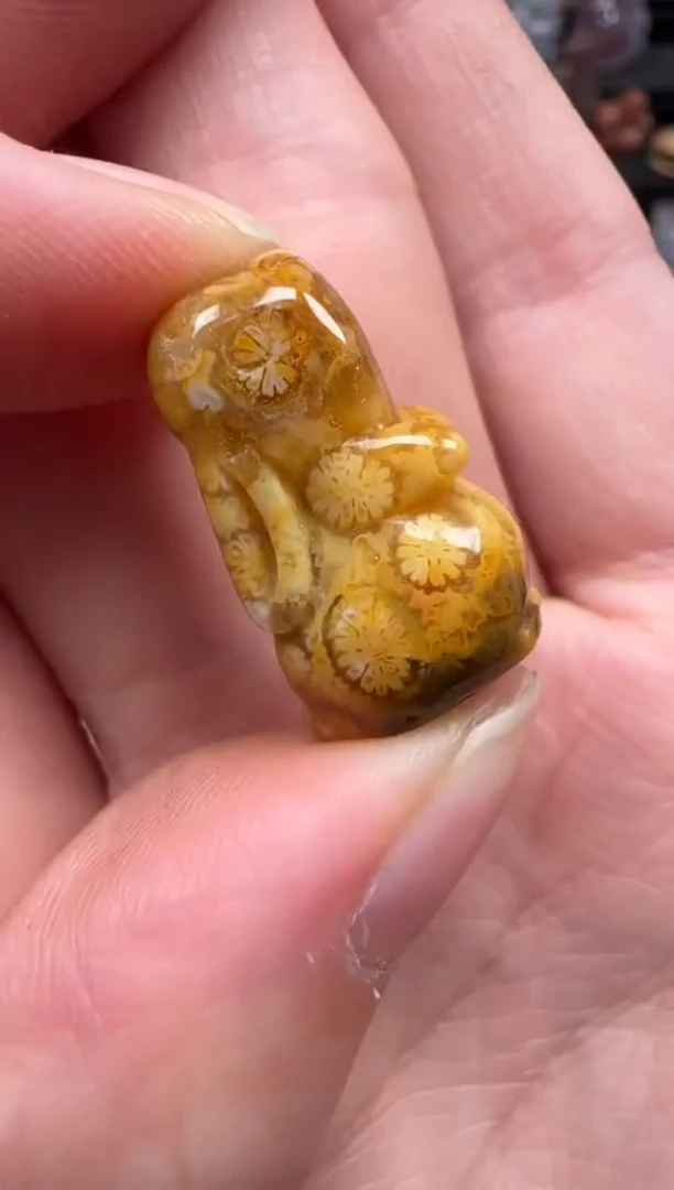 颈饰未镶嵌硅化珊瑚（珊瑚玉）187