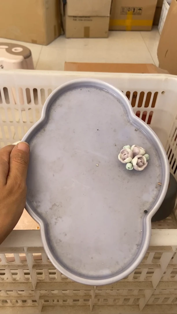 无运费险有瑕疵的摄影的产品有使用过的痕迹有点脏介意勿拍