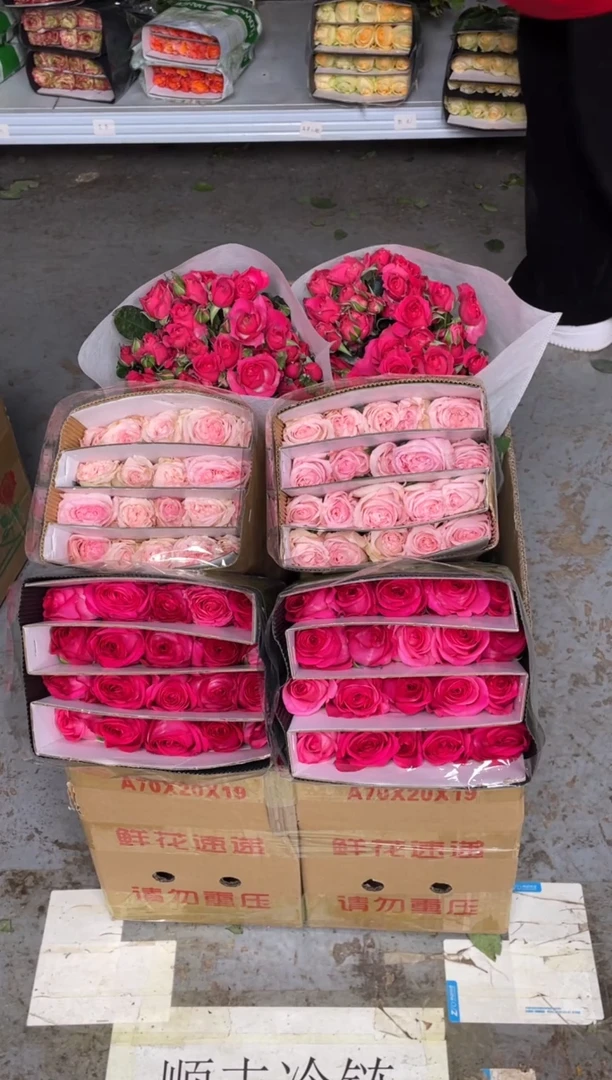 佛洛依德20枝+粉荔枝20枝+苏菲10枝