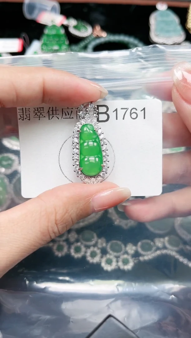 【闪购商品】翡翠颈饰未镶嵌赠皮绳1761