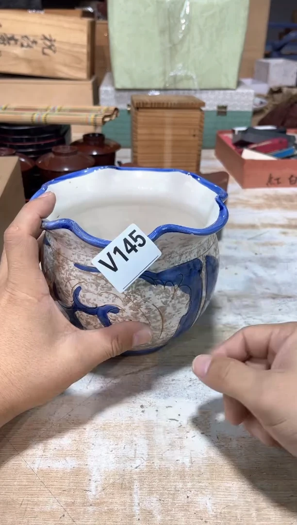 小***妞直播定闪闪购链接123