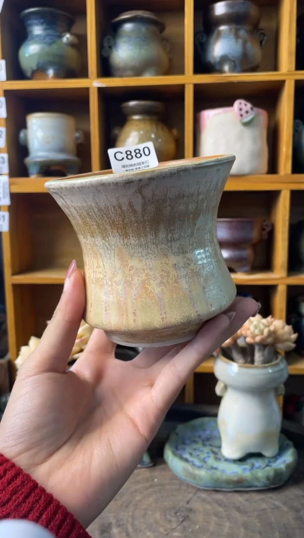 880【多肉花盆多肉盆】