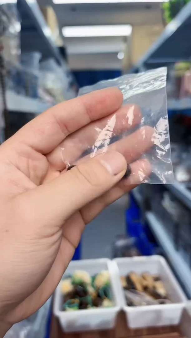 木小六9mm单珠一颗